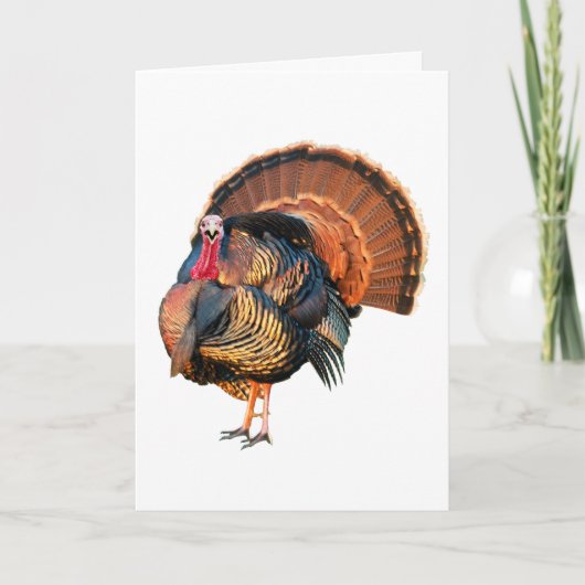 自分で物 シーズンカード (正面)