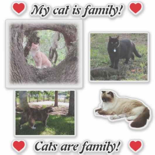 自分で猫シールを作って猫好きテンプレート シール (正面)