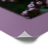 自分で白いガーベラデイジー花プリント ポスター (角)