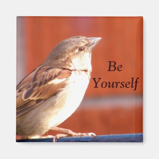 自分で磁石を付ける マグネット (正面)