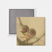 「自分で磁石を作れ – ビーチの殻 マグネット (正面/裏面)