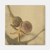 「自分で磁石を作れ – ビーチの殻 マグネット (正面)