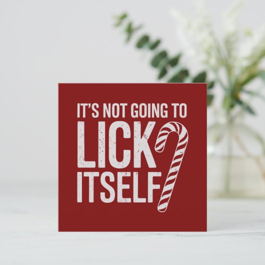 自分で舐めるわけないだろ 攻撃的で皮肉屋 シーズンカード (スタンド正面)