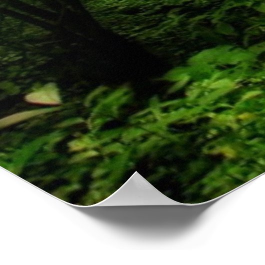 自分で行く走魔法フォレストを見つやる気を起こさせるけ ポスター (角)