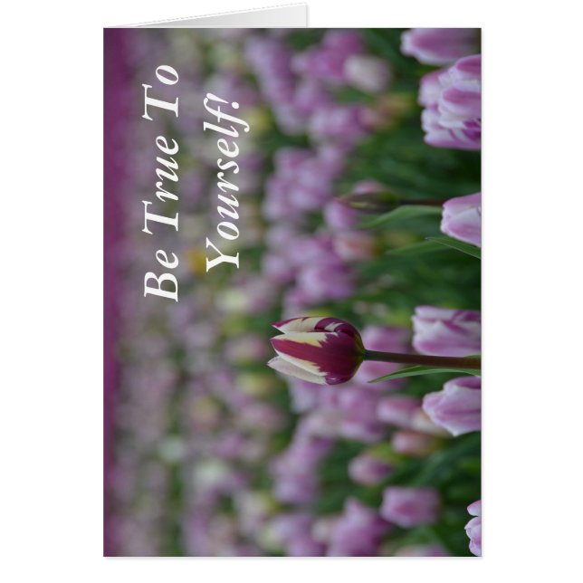 自分に忠実である (正面)