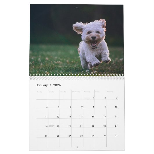 自分のかわいい子犬のペット写真を作成 カレンダー (1月 2026)
