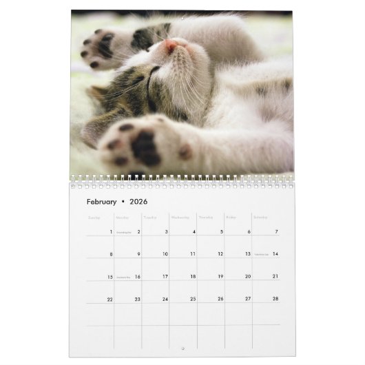 自分のかわいい猫を作るペットの写真 カレンダー (2月 2026)