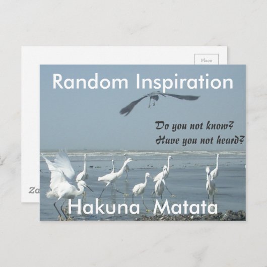 自分のインスピレーションをランダムに作成カスタマイズ ポストカード (正面/裏面)