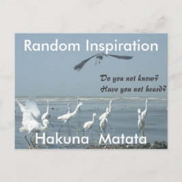 自分のインスピレーションをランダムに作成カスタマイズ ポストカード