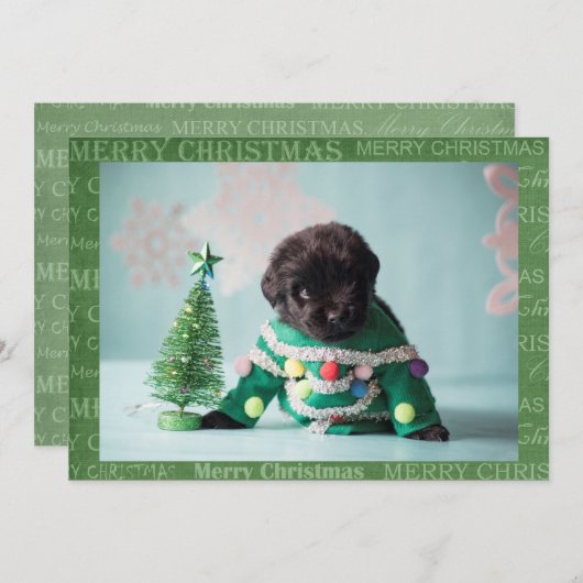 自分のクリスマスカードを作る シーズンカード (正面/裏面)