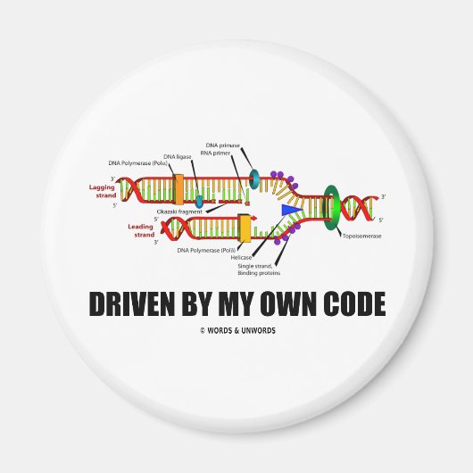 自分のコード(DNA複製)によって駆動 マグネット (正面)
