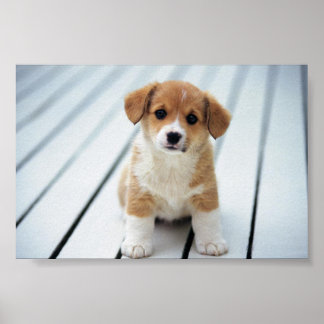 自分のサイズを人に選ぶ ポスター