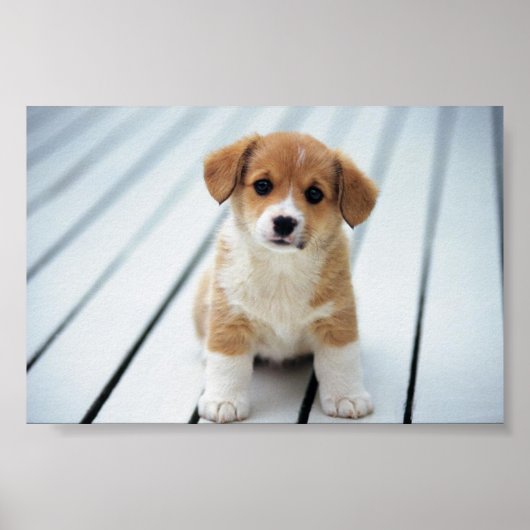 自分のサイズを人に選ぶ ポスター (正面)