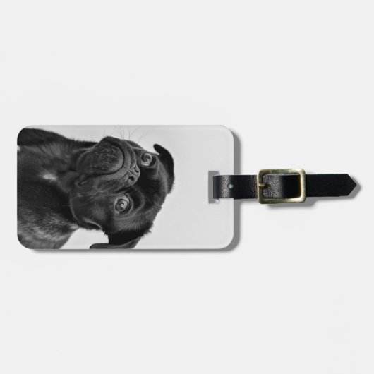 自分のドッグフォトトラベルを追加 | おもしろい pug ラゲッジタグ (正面横)