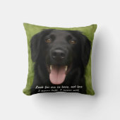 自分のハグを作成するペット記念装飾用クッション クッション (正面)