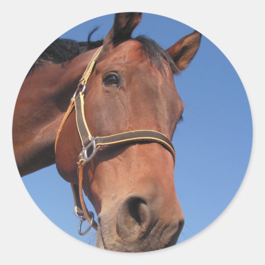 自分のフォトギフトカスタムを作成する ラウンドシール (正面)