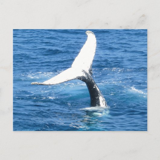 自分のフォトグリーティングカードを作成する ポストカード (正面)