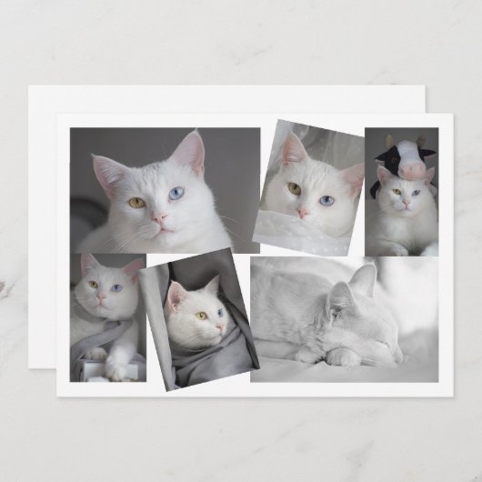 自分のフォトコラージュカードを作成パーソナライズされたする 招待状 (正面/裏面)