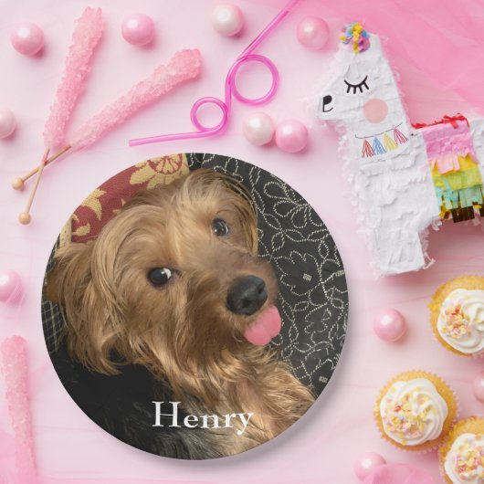 自分のフォトファミリーペットを作成する ペーパープレート (パーティー)