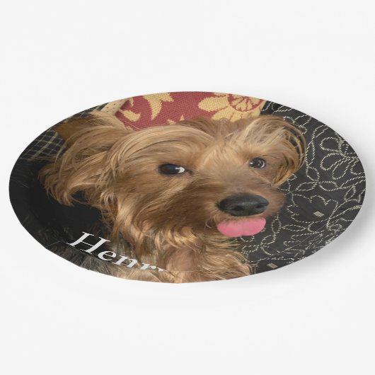 自分のフォトファミリーペットを作成する ペーパープレート (アングル)