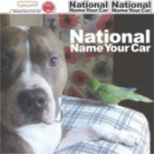 自分のペットのシールを作りなさい。車の国名 シール (正面)