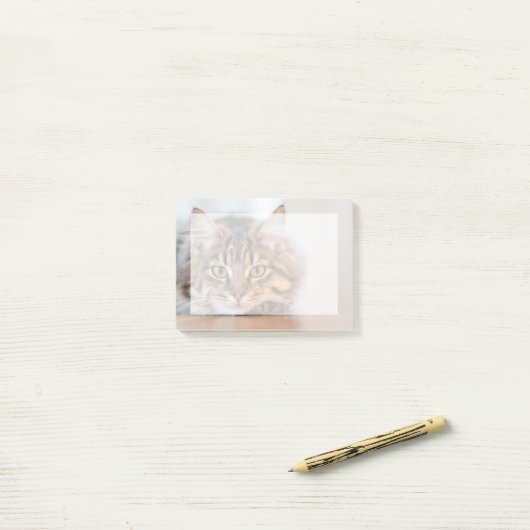 自分のペットの写真を挿入する ポストイット (デスク上)