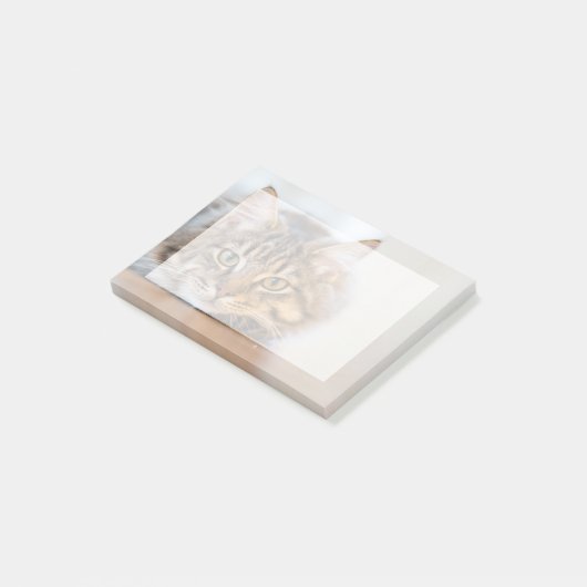 自分のペットの写真を挿入する ポストイット (アングル)