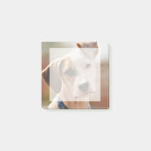 自分のペットの写真を正方形に挿入します ポストイット (正面)