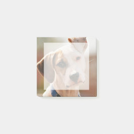 自分のペットの写真を正方形に挿入します ポストイット