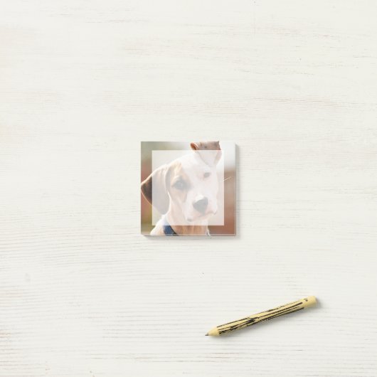 自分のペットの写真を正方形に挿入します ポストイット (デスク上)