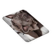 自分のペットカスタムの犬冷蔵庫を作成 マグネット (右側)