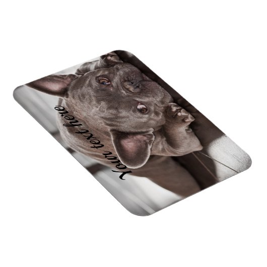 自分のペットカスタムの犬冷蔵庫を作成 マグネット (右側)