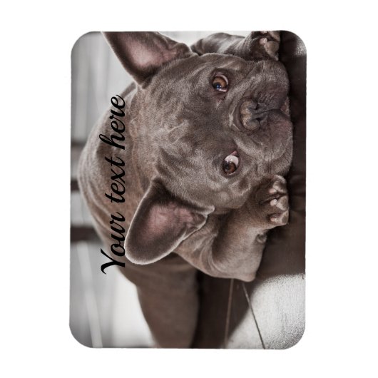 自分のペットカスタムの犬冷蔵庫を作成 マグネット (縦)