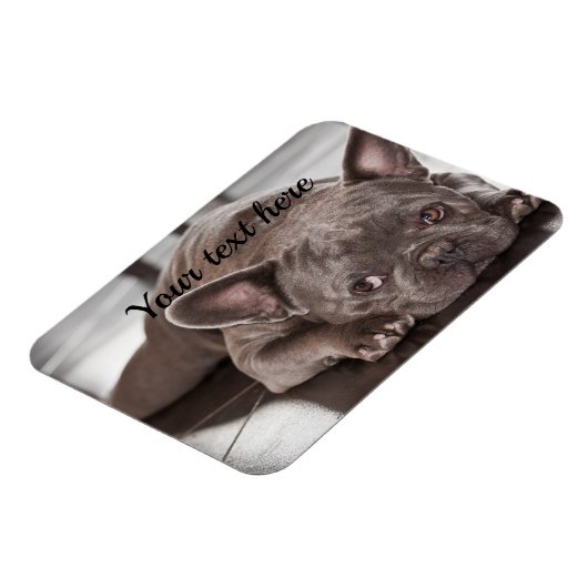 自分のペットカスタムの犬冷蔵庫を作成 マグネット (左側)