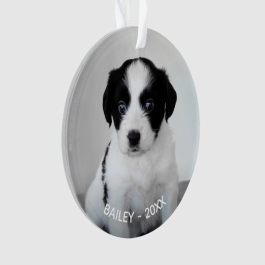 自分のペットカスタム写真の名前と年を作成 オーナメント (正面)