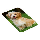 自分のペットカスタム犬の写真を作成 マグネット (右側)