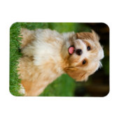 自分のペットカスタム犬の写真を作成 マグネット (横)