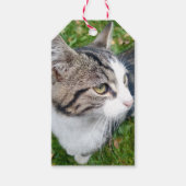 自分のペット写真を作成してに送信カスタムする ギフトタグ (正面)