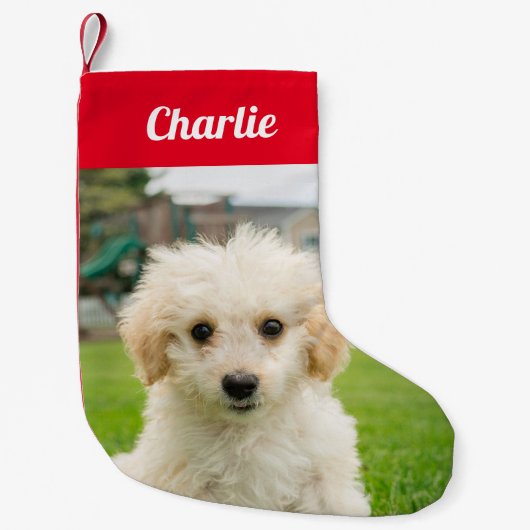 自分のペット犬の写真を作成する スモールクリスマスストッキング (正面)