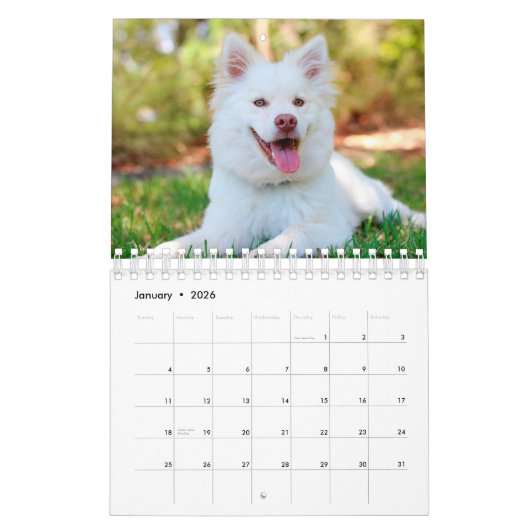 自分のペット犬の写真を作成2025小さいカレンダー カレンダー (1月 2026)