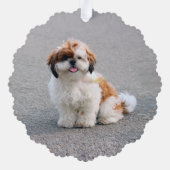 自分のペット犬の写真を作成 オーナメントカード (裏面)