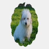 自分のペット犬の写真を作成 オーナメントカード (右)