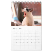 自分のペット猫の写真を作成2025小さいカレンダー カレンダー (2月 2026)