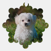 自分の両面の犬の写真を作成 オーナメントカード (正面)