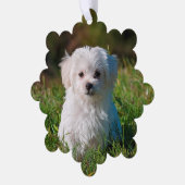 自分の両面の犬の写真を作成 オーナメントカード (左)