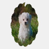 自分の両面の犬の写真を作成 オーナメントカード (右)