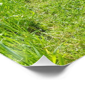 自分の仕事に関する英語のことわざ ポスター (コーナー)