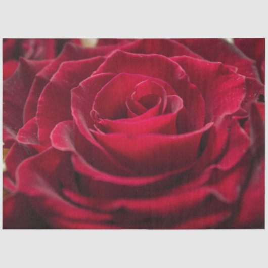 自分の写真のあいさつエレガントをパーソナライズするために作成 薄葉紙 (正面)