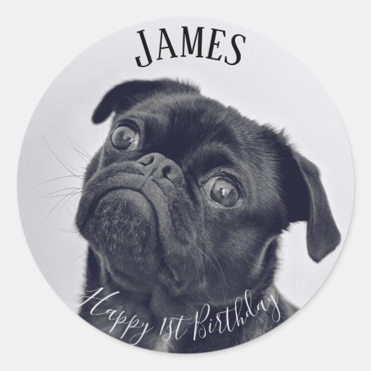 自分の写真の誕生日名を追加する ラウンドシール (正面)