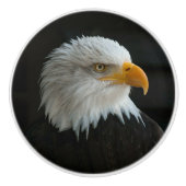 自分の写真または文字の追加 セラミックノブ (正面)